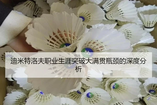 迪米特洛夫职业生涯突破大满贯瓶颈的深度分析